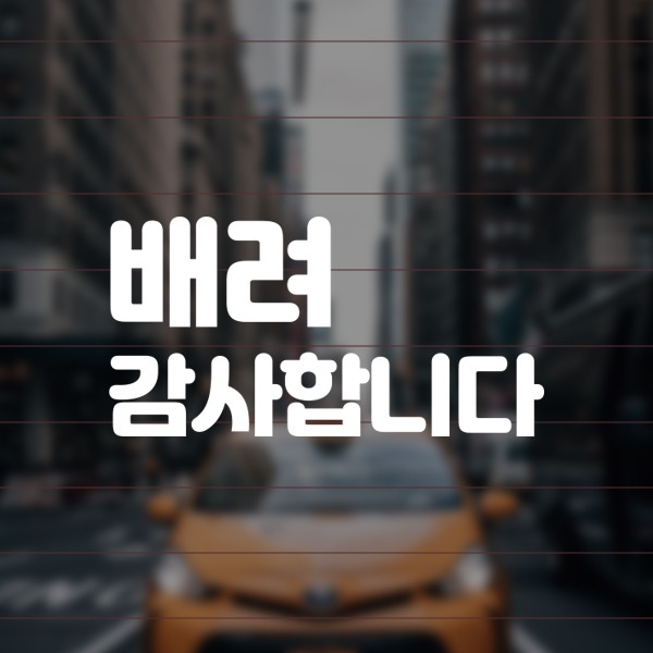 동글 배려감사 DG012 차량스티커 초보운전 양보 극한 왕 자동차 유리 시트컷팅